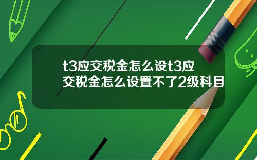 t3应交税金怎么设t3应交税金怎么设置不了2级科目