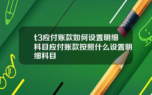 t3应付账款如何设置明细科目应付账款按照什么设置明细科目