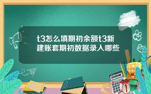 t3怎么填期初余额t3新建账套期初数据录入哪些