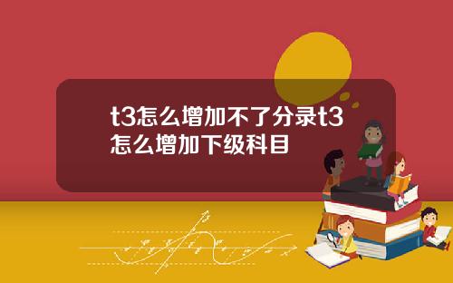 t3怎么增加不了分录t3怎么增加下级科目