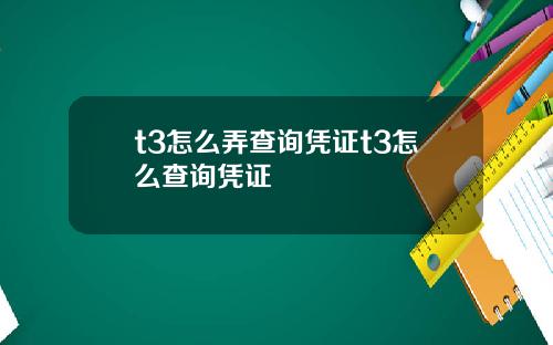 t3怎么弄查询凭证t3怎么查询凭证
