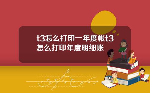 t3怎么打印一年度帐t3怎么打印年度明细账