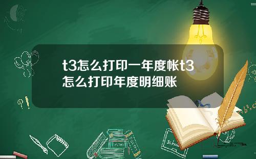 t3怎么打印一年度帐t3怎么打印年度明细账