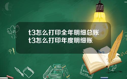 t3怎么打印全年明细总账t3怎么打印年度明细账
