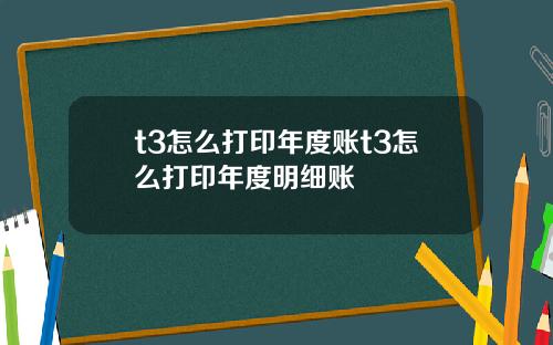 t3怎么打印年度账t3怎么打印年度明细账