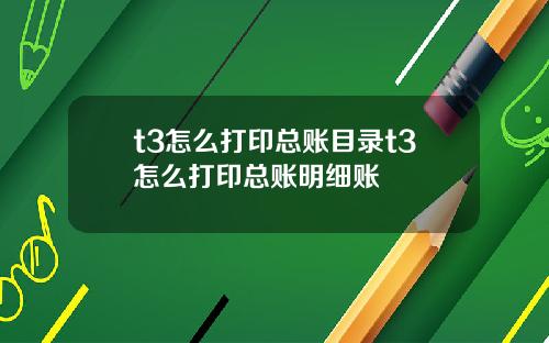 t3怎么打印总账目录t3怎么打印总账明细账