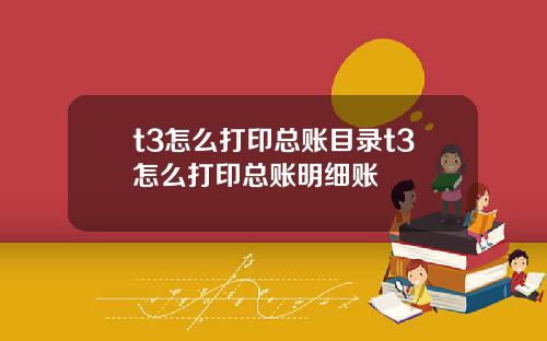 t3怎么打印总账目录t3怎么打印总账明细账