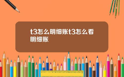 t3怎么明细账t3怎么看明细账