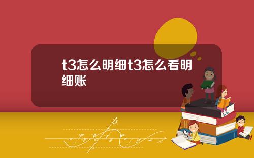 t3怎么明细t3怎么看明细账
