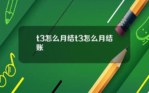 t3怎么月结t3怎么月结账