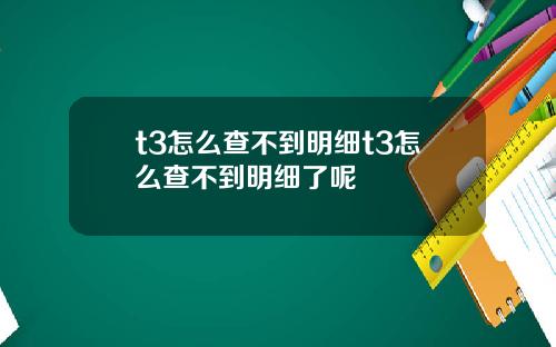 t3怎么查不到明细t3怎么查不到明细了呢