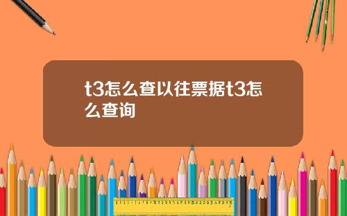 t3怎么查以往票据t3怎么查询