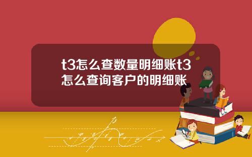 t3怎么查数量明细账t3怎么查询客户的明细账