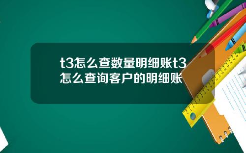 t3怎么查数量明细账t3怎么查询客户的明细账
