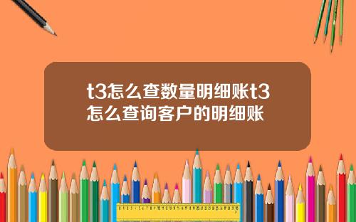 t3怎么查数量明细账t3怎么查询客户的明细账