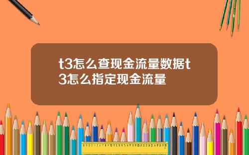 t3怎么查现金流量数据t3怎么指定现金流量