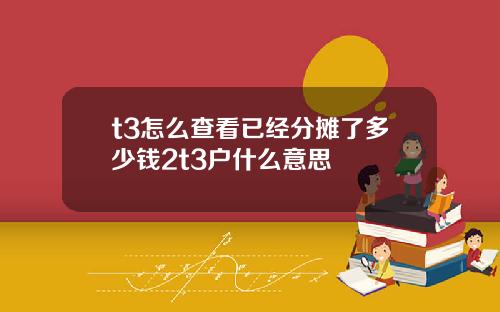 t3怎么查看已经分摊了多少钱2t3户什么意思