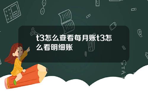 t3怎么查看每月账t3怎么看明细账