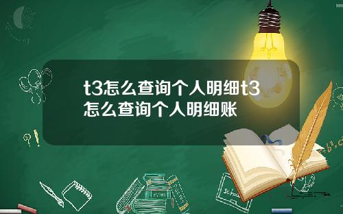 t3怎么查询个人明细t3怎么查询个人明细账
