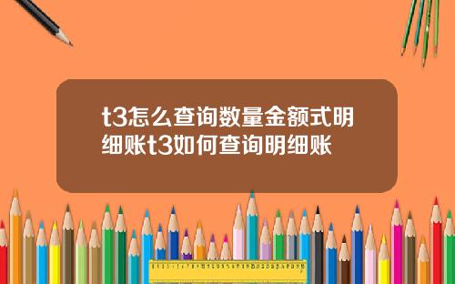 t3怎么查询数量金额式明细账t3如何查询明细账