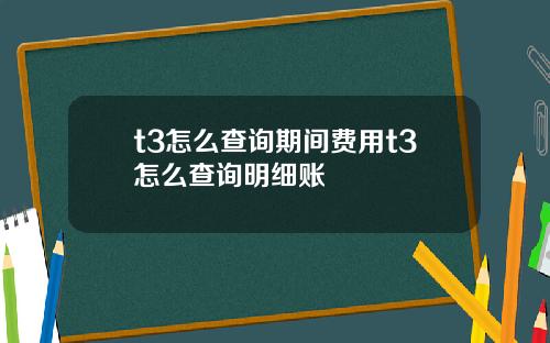 t3怎么查询期间费用t3怎么查询明细账