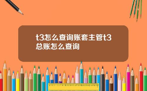 t3怎么查询账套主管t3总账怎么查询