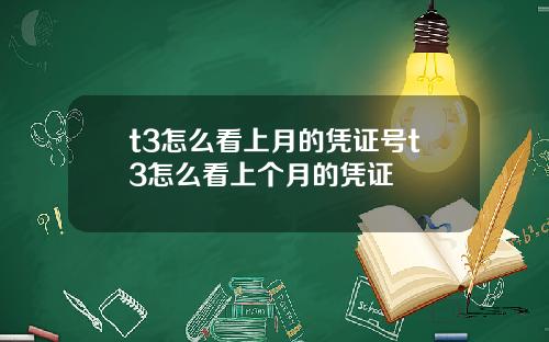 t3怎么看上月的凭证号t3怎么看上个月的凭证