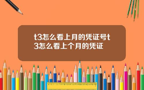 t3怎么看上月的凭证号t3怎么看上个月的凭证