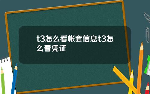 t3怎么看帐套信息t3怎么看凭证