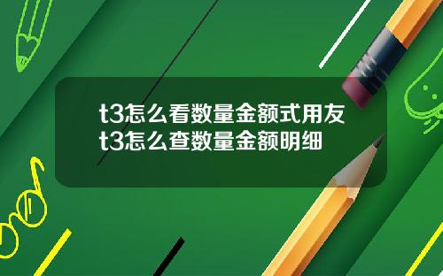 t3怎么看数量金额式用友t3怎么查数量金额明细