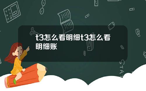 t3怎么看明细t3怎么看明细账
