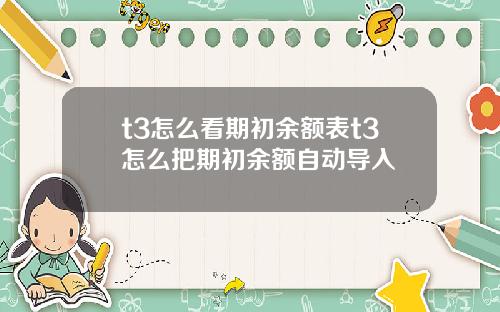 t3怎么看期初余额表t3怎么把期初余额自动导入