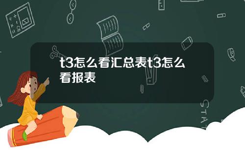 t3怎么看汇总表t3怎么看报表