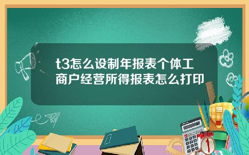 t3怎么设制年报表个体工商户经营所得报表怎么打印