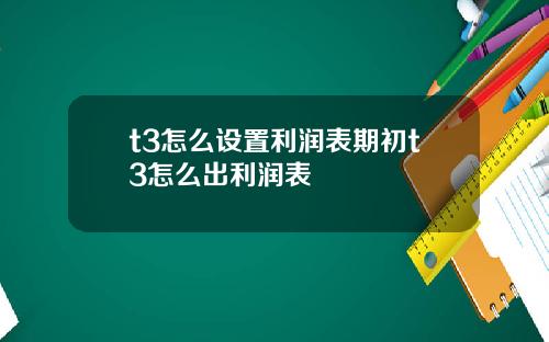 t3怎么设置利润表期初t3怎么出利润表