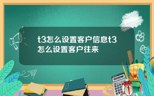 t3怎么设置客户信息t3怎么设置客户往来