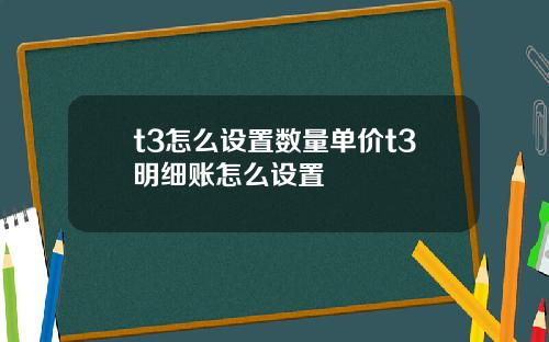 t3怎么设置数量单价t3明细账怎么设置