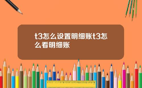 t3怎么设置明细账t3怎么看明细账