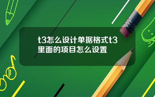 t3怎么设计单据格式t3里面的项目怎么设置