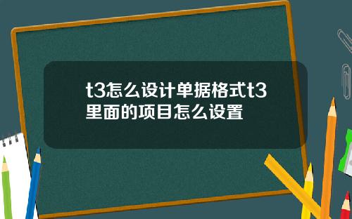 t3怎么设计单据格式t3里面的项目怎么设置