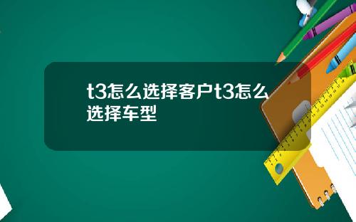 t3怎么选择客户t3怎么选择车型