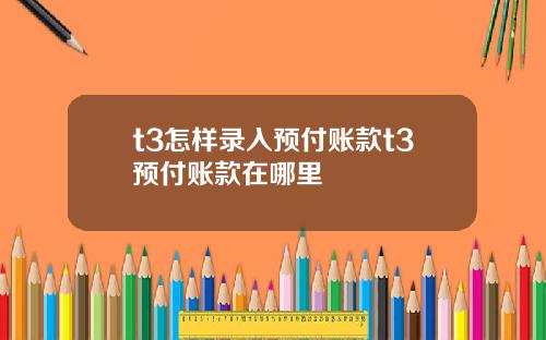 t3怎样录入预付账款t3预付账款在哪里