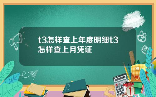 t3怎样查上年度明细t3怎样查上月凭证