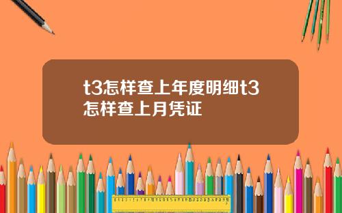 t3怎样查上年度明细t3怎样查上月凭证