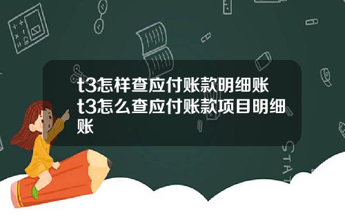 t3怎样查应付账款明细账t3怎么查应付账款项目明细账