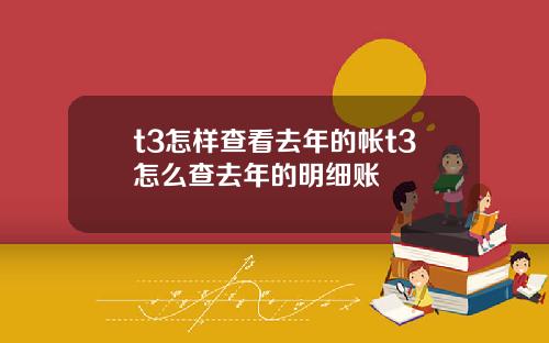 t3怎样查看去年的帐t3怎么查去年的明细账