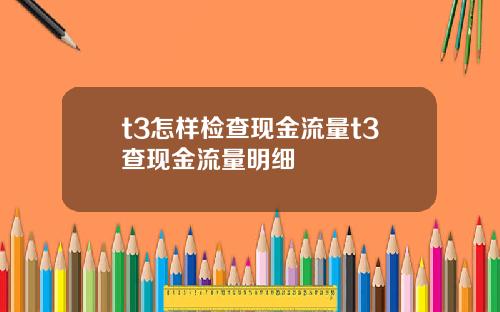 t3怎样检查现金流量t3查现金流量明细