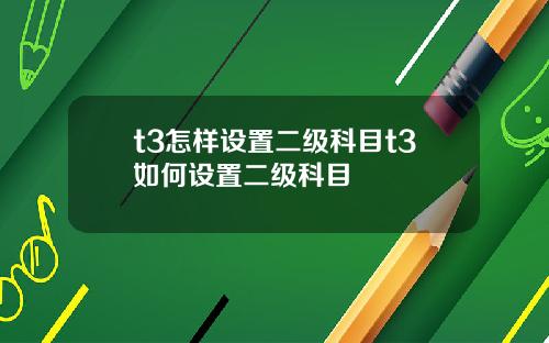 t3怎样设置二级科目t3如何设置二级科目