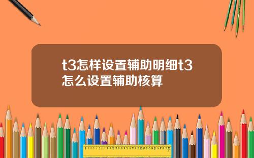 t3怎样设置辅助明细t3怎么设置辅助核算