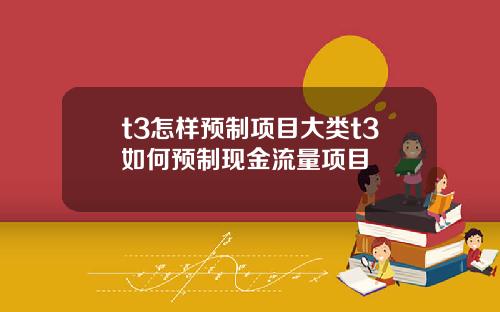 t3怎样预制项目大类t3如何预制现金流量项目